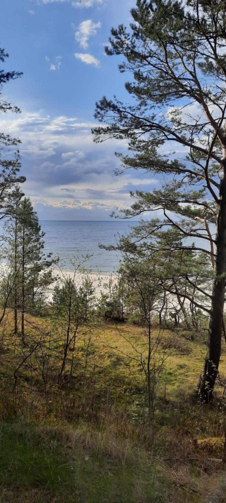 Pokoje Goscinne Nord Krynica Morska Exteriör bild
