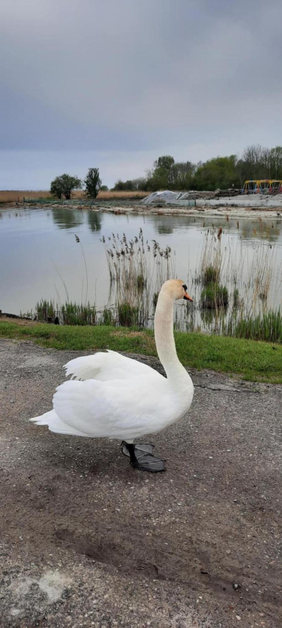 Pokoje Goscinne Nord Krynica Morska Exteriör bild